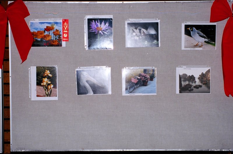 Photograph
