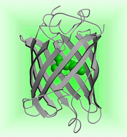 Loading Image