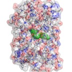 GFP_allatoms
