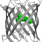 gfp
