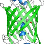 gfp