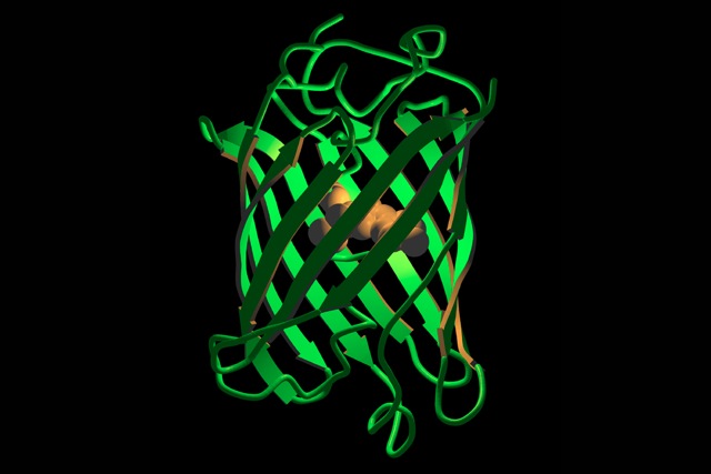 Loading Image