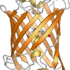 ofp
