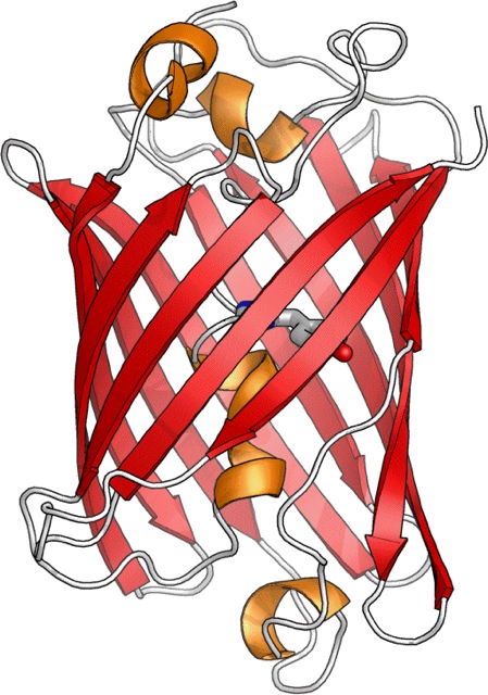 Loading Image