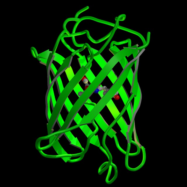Loading Image
