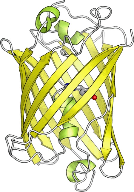 Loading Image