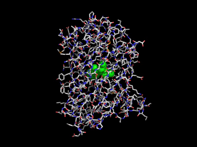 GFP_allatoms.mov