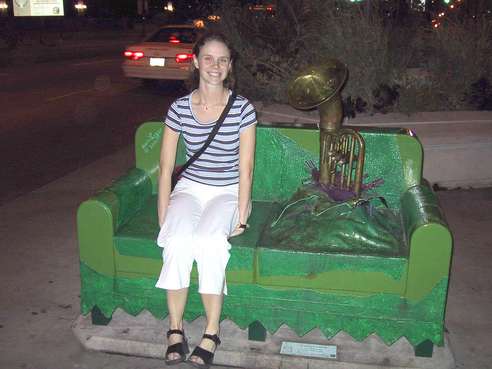 Bus bench13.JPG (304136 bytes)