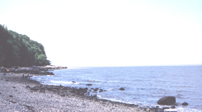 vancouver_shore.jpg (88794 bytes)