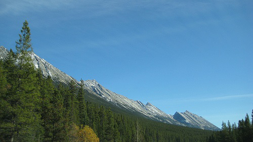 The Canadian Rockies
