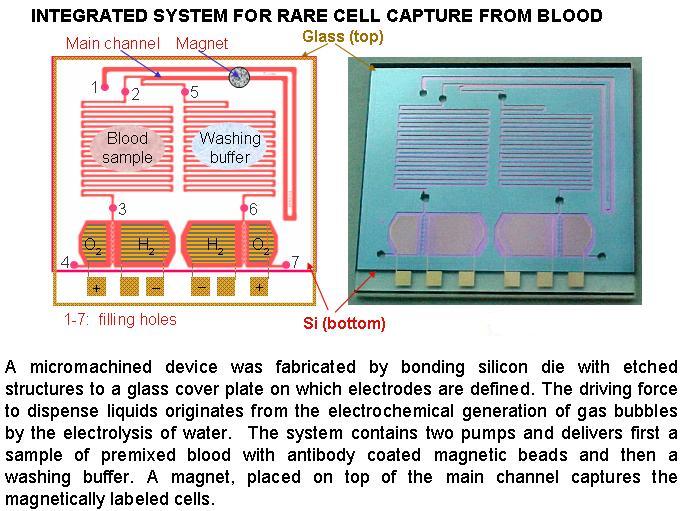 Rare cell Capture from Blood Pump
