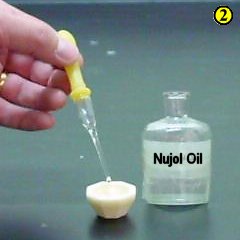 2. Add 2 drops of Nujol oil to the powder