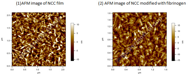 NCC AFM image