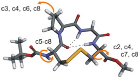 cyclic_peptide_3