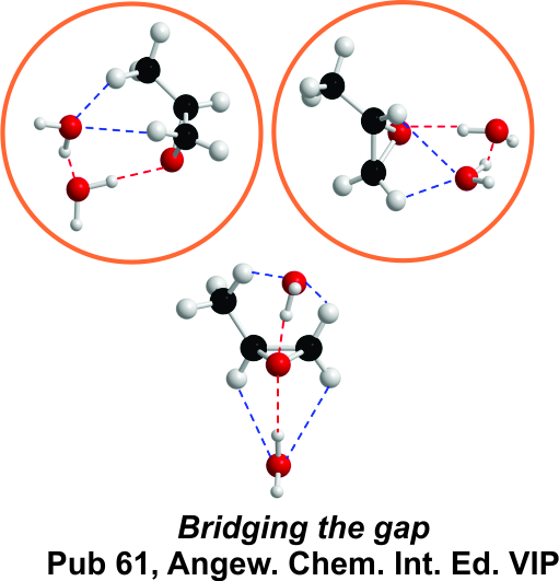 solvation angew chemie vip