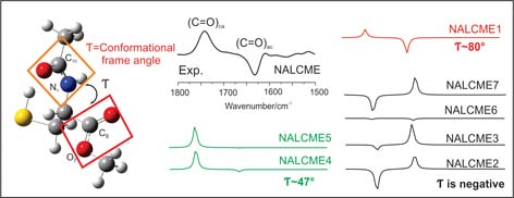 toc-nalcme