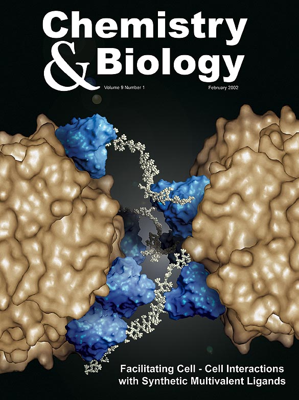 C&B Cover 2001